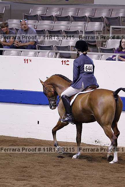 Proof Number 11r13_3215