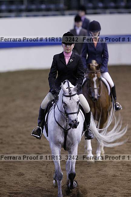 Proof Number 11r13_3242