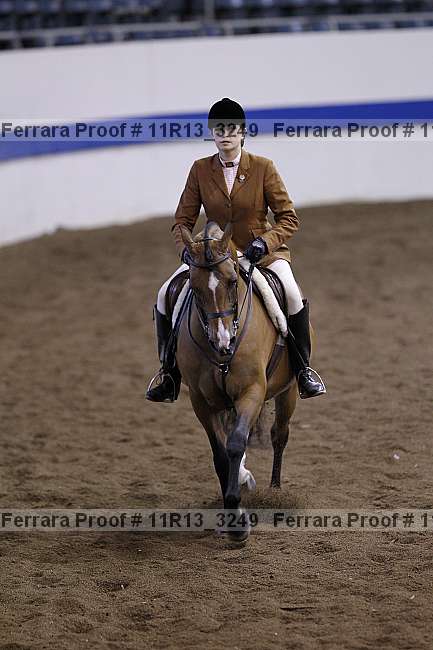 Proof Number 11r13_3249