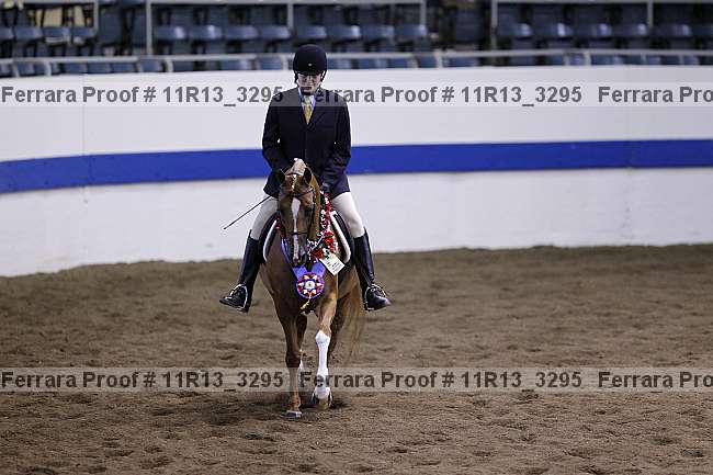 Proof Number 11r13_3295