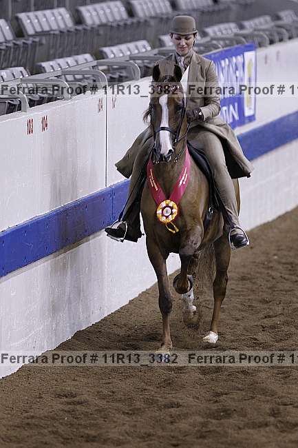 Proof Number 11r13_3382
