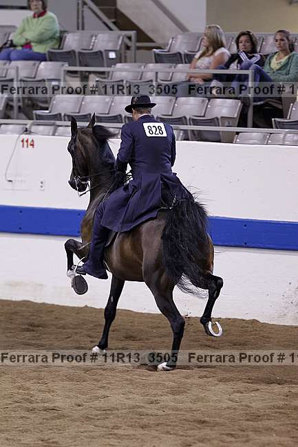 Proof Number 11r13_3505