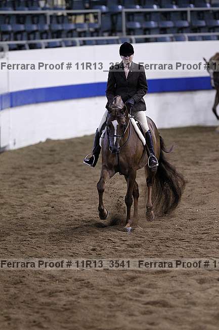 Proof Number 11r13_3541