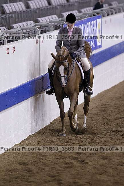 Proof Number 11r13_3563