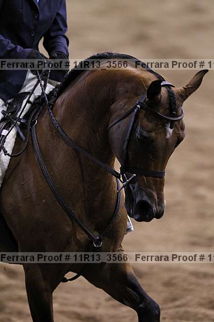 Proof Number 11r13_3566