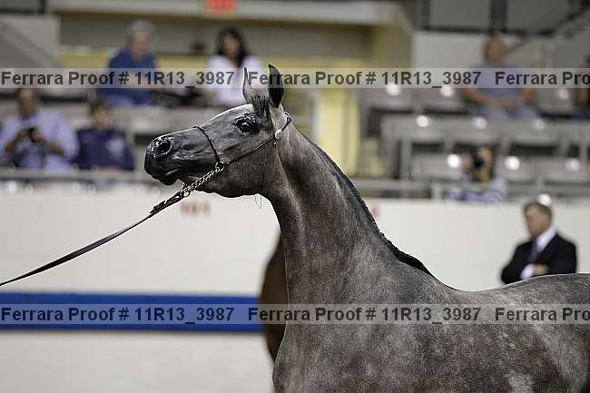 Proof Number 11r13_3987