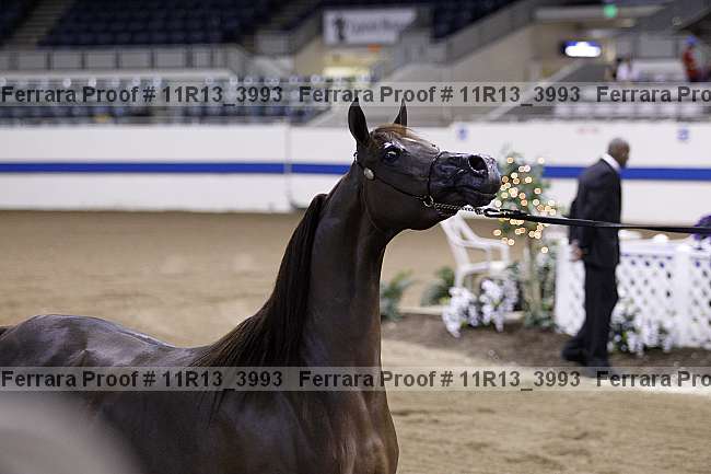 Proof Number 11r13_3993