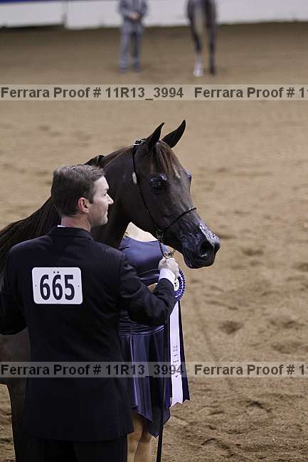 Proof Number 11r13_3994