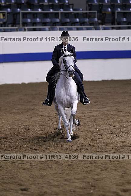Proof Number 11r13_4036