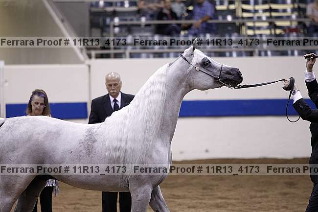 Proof Number 11r13_4173