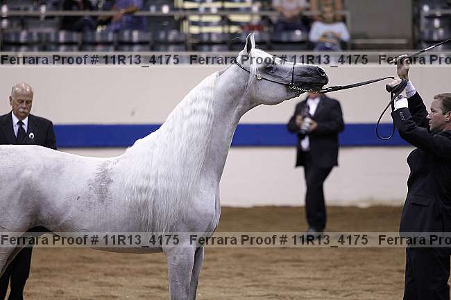 Proof Number 11r13_4175
