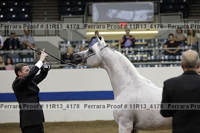 Proof Number 11r13_4178