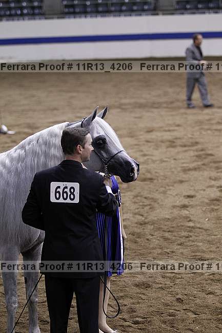 Proof Number 11r13_4206