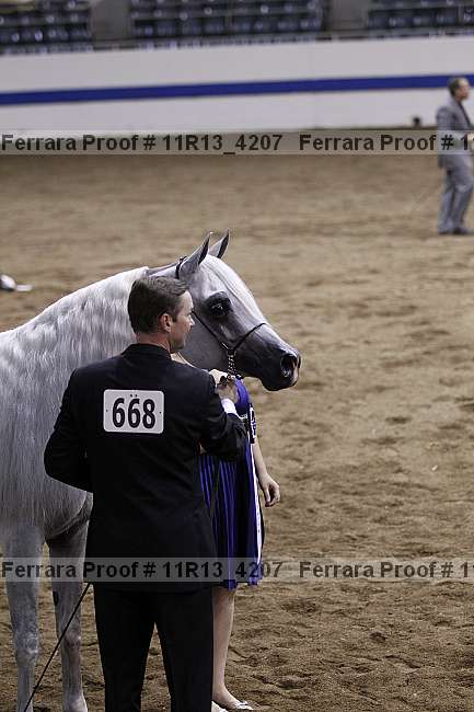 Proof Number 11r13_4207