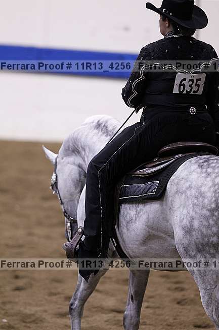 Proof Number 11r13_4256