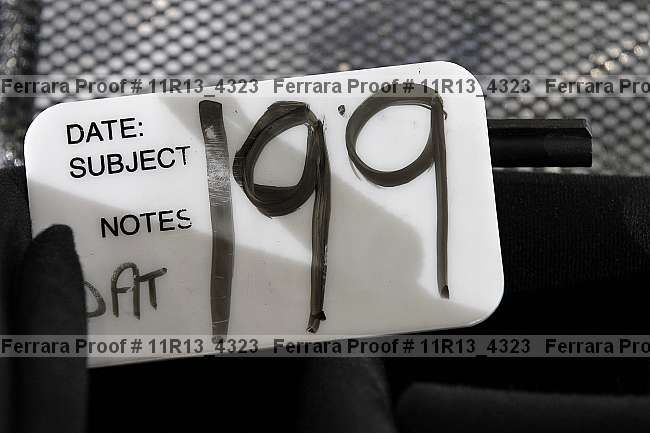 Proof Number 11r13_4323
