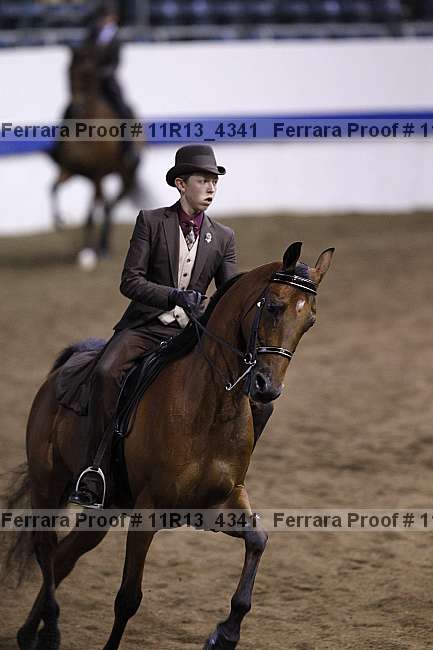 Proof Number 11r13_4341