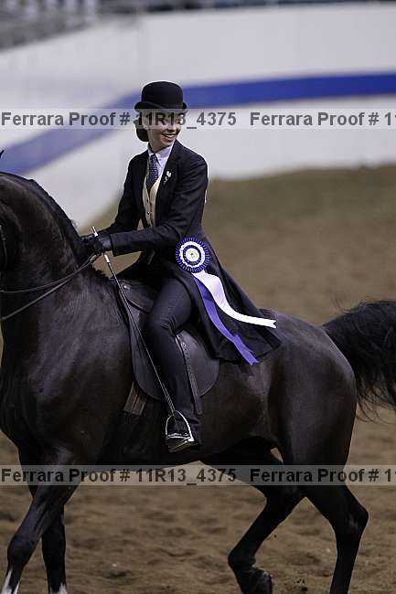 Proof Number 11r13_4375