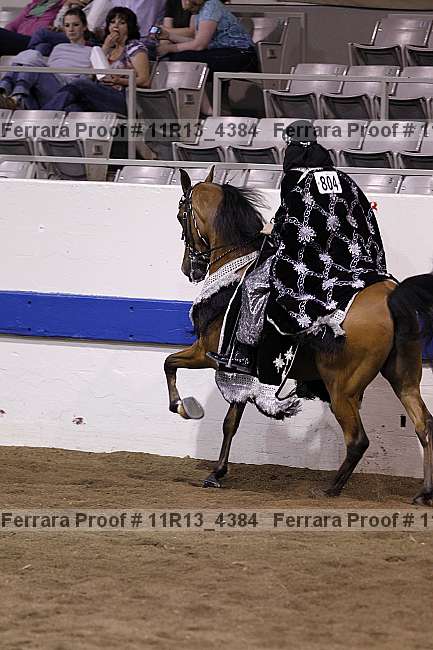 Proof Number 11r13_4384