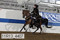 11r13_4407 thumbnail
