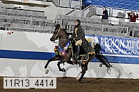 11r13_4414 thumbnail
