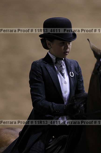Proof Number 11r13_4611