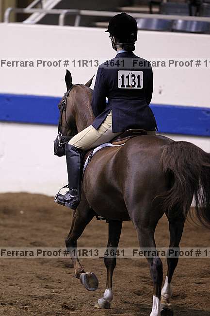 Proof Number 11r13_4641
