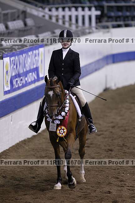 Proof Number 11r13_4670