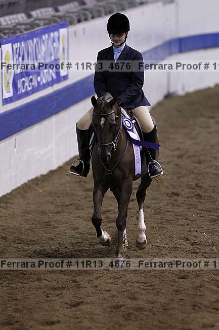 Proof Number 11r13_4676
