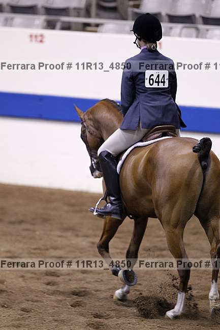 Proof Number 11r13_4850