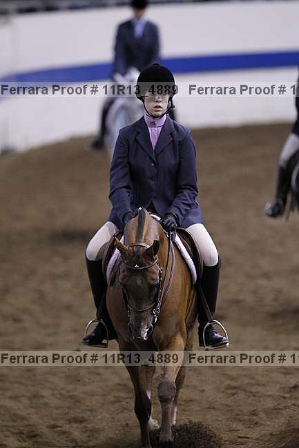 Proof Number 11r13_4889