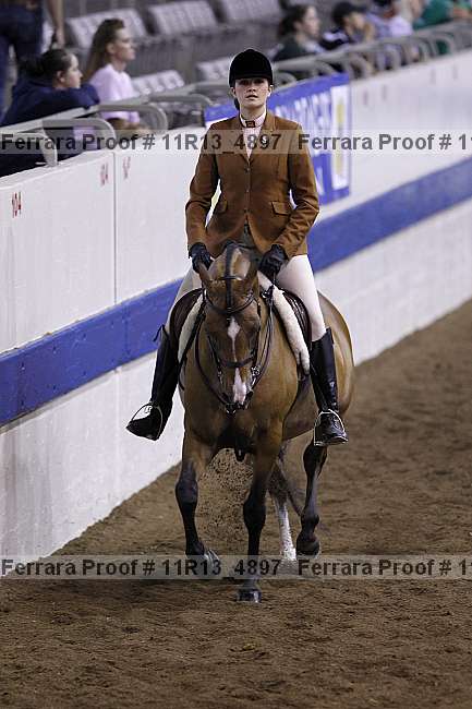 Proof Number 11r13_4897