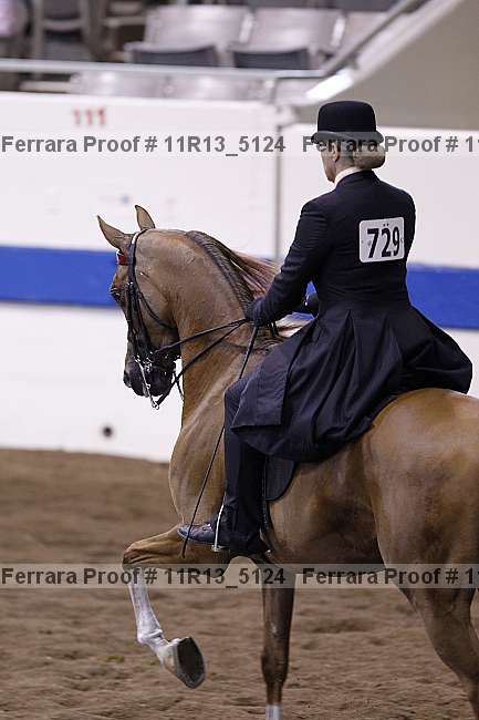 Proof Number 11r13_5124
