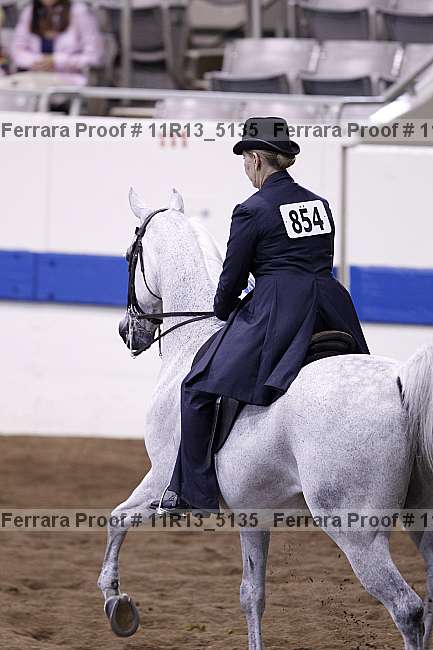Proof Number 11r13_5135
