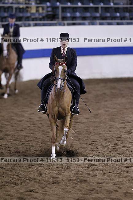 Proof Number 11r13_5153