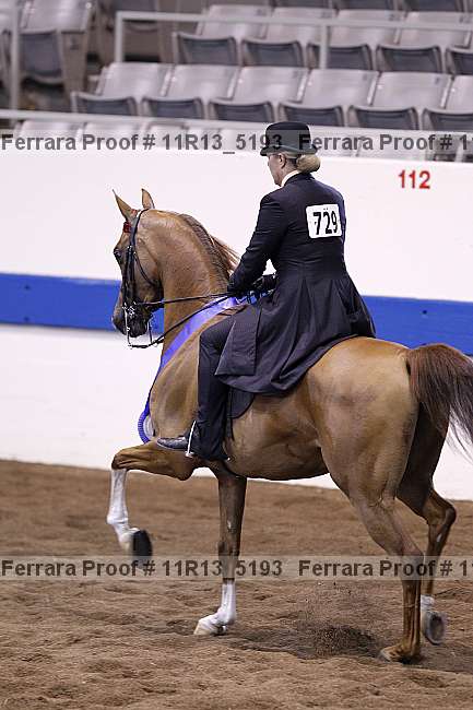 Proof Number 11r13_5193