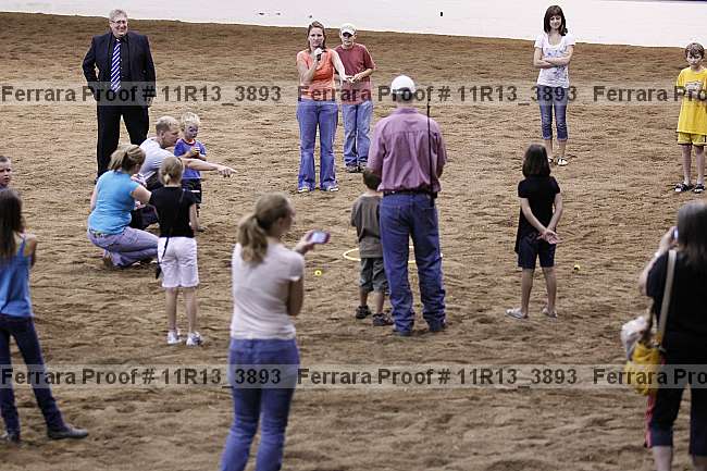 Proof Number 11r13_3893