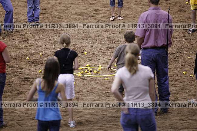 Proof Number 11r13_3894