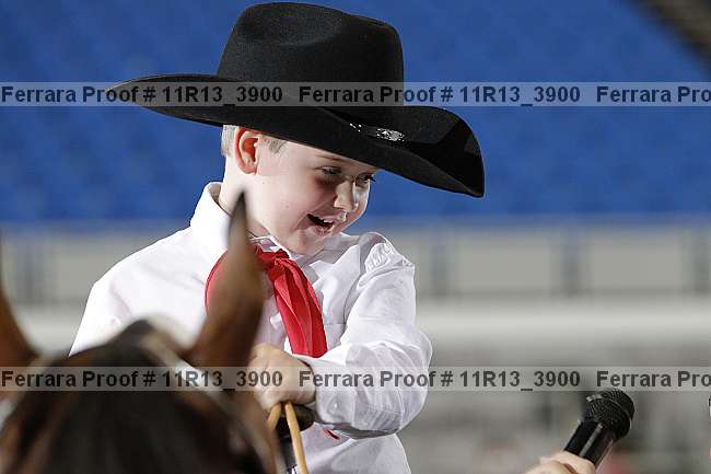 Proof Number 11r13_3900