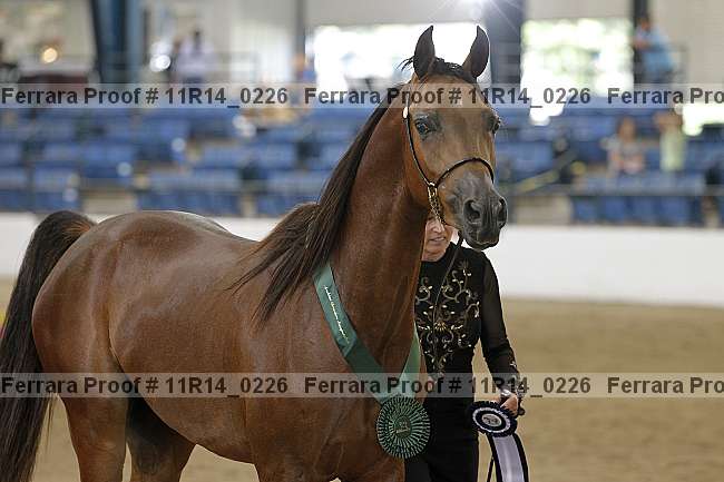 Proof Number 11r14_0226