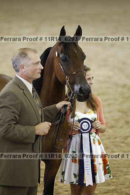 Proof Number 11r14_0293