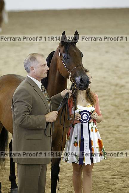 Proof Number 11r14_0294