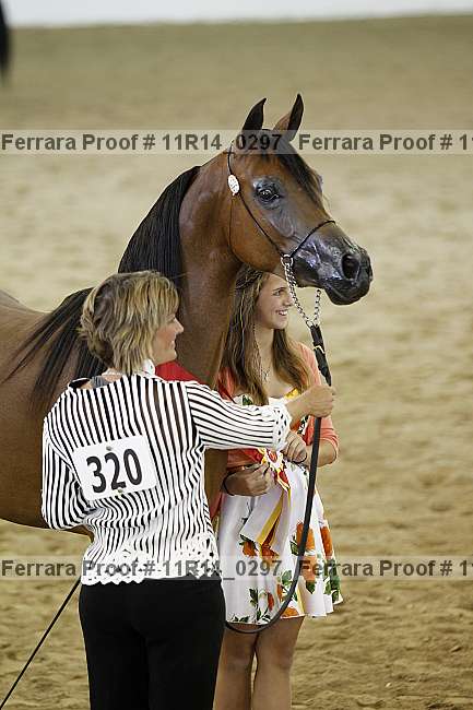 Proof Number 11r14_0297