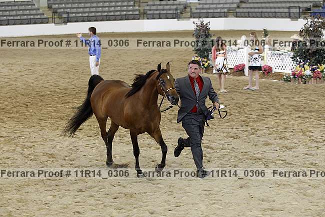 Proof Number 11r14_0306