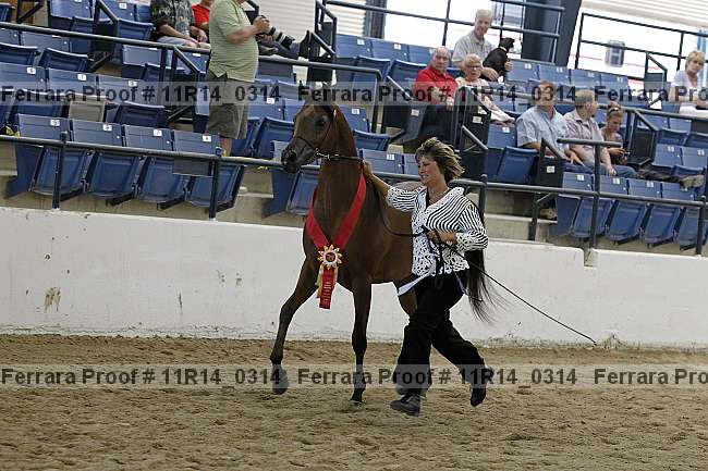 Proof Number 11r14_0314