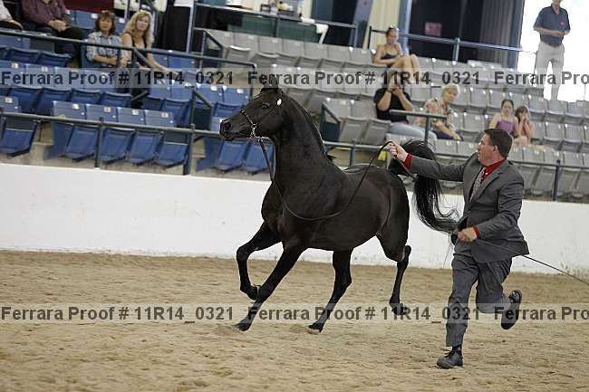 Proof Number 11r14_0321
