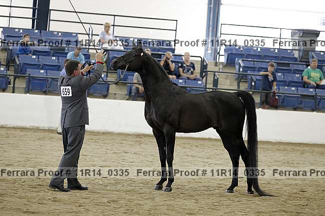 Proof Number 11r14_0335