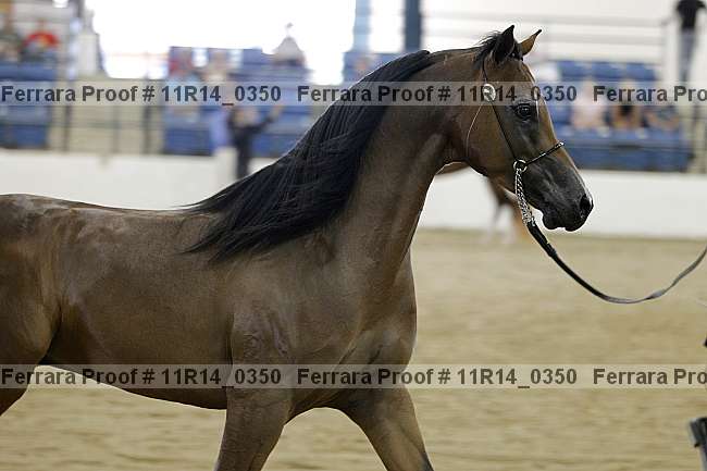 Proof Number 11r14_0350