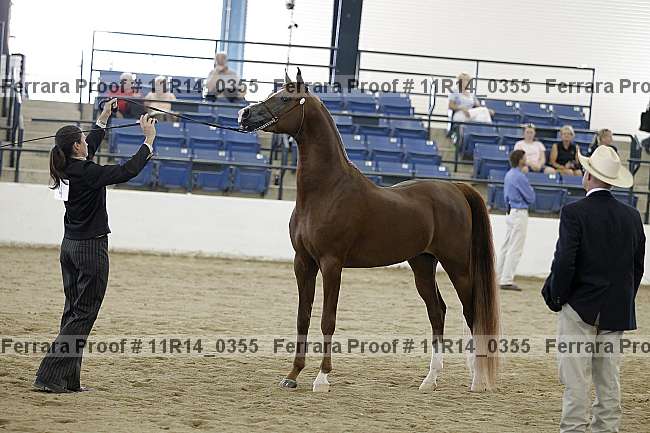 Proof Number 11r14_0355