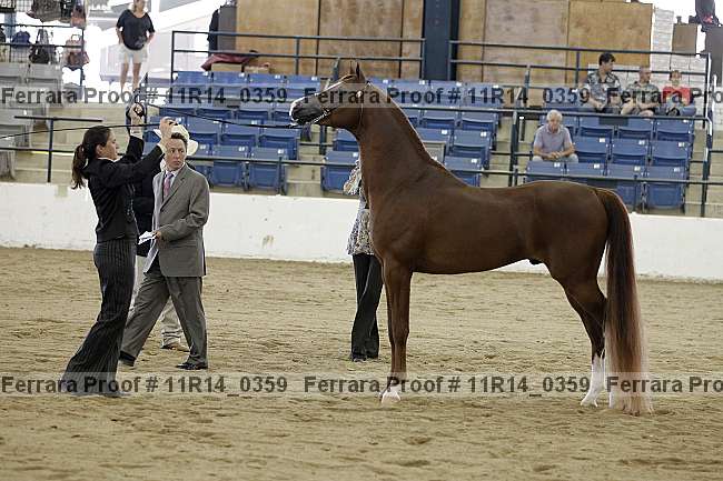 Proof Number 11r14_0359